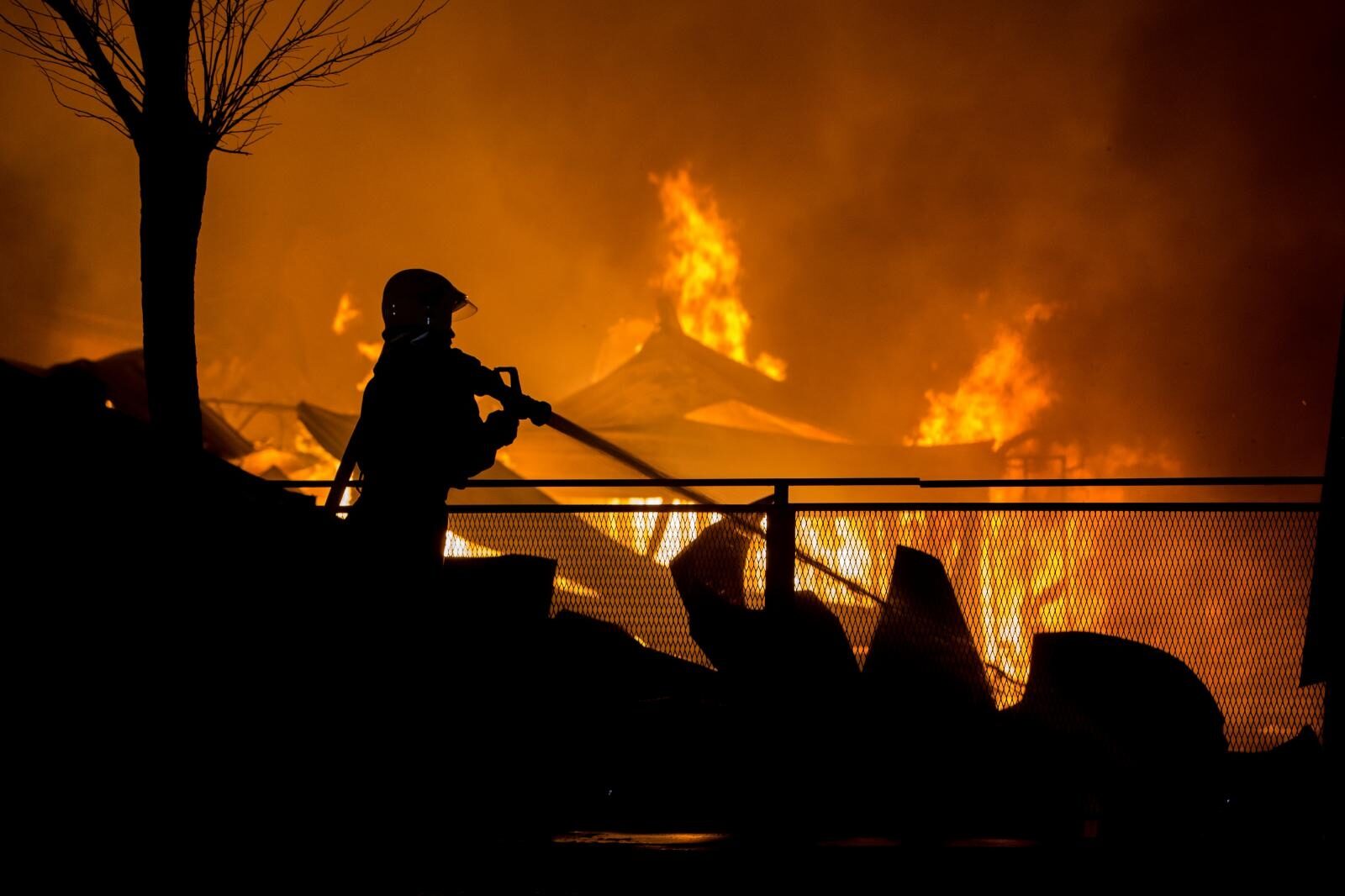 Foto: Nel Pavletic/PIXSELL