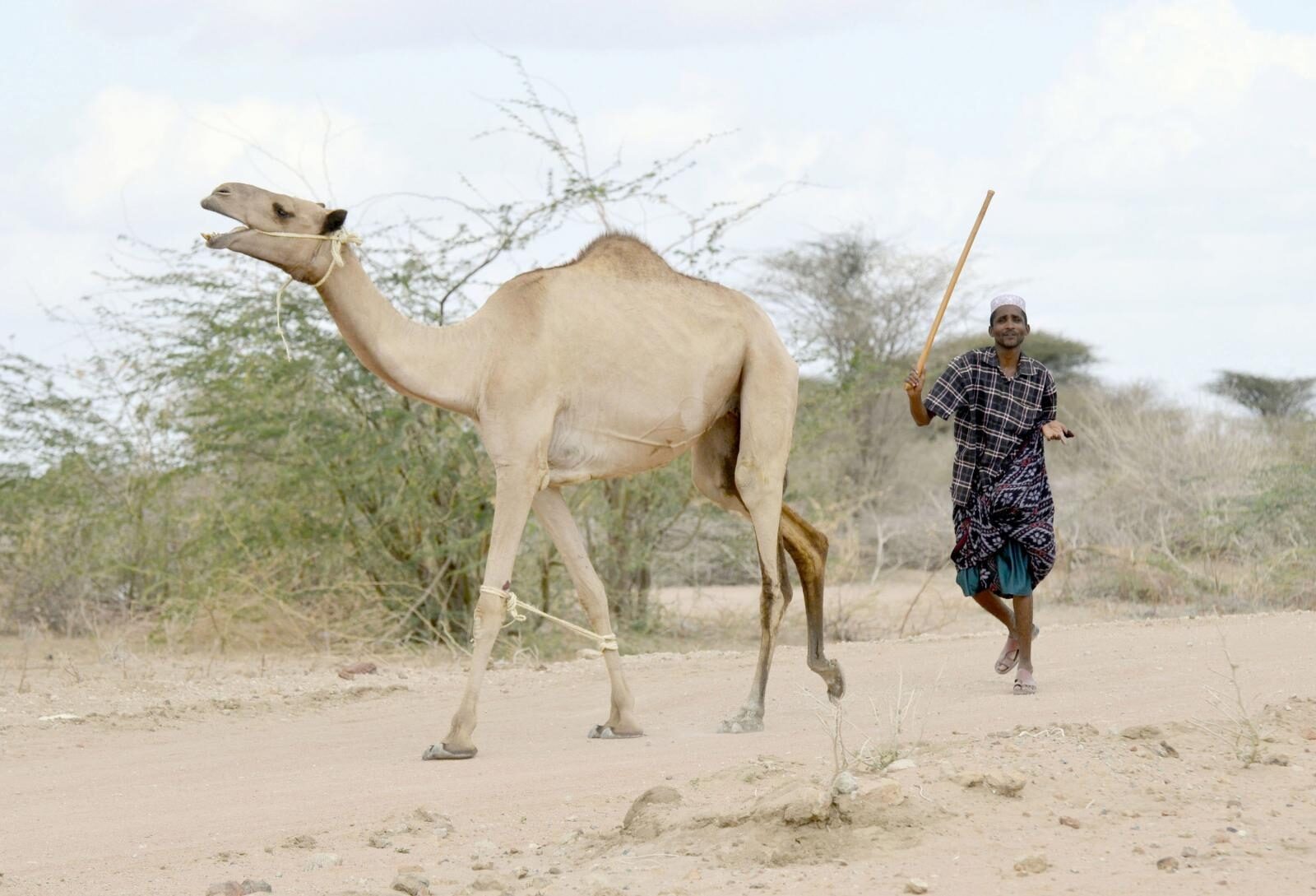 Foto: Boris Roessler/DPA/PIXSELL