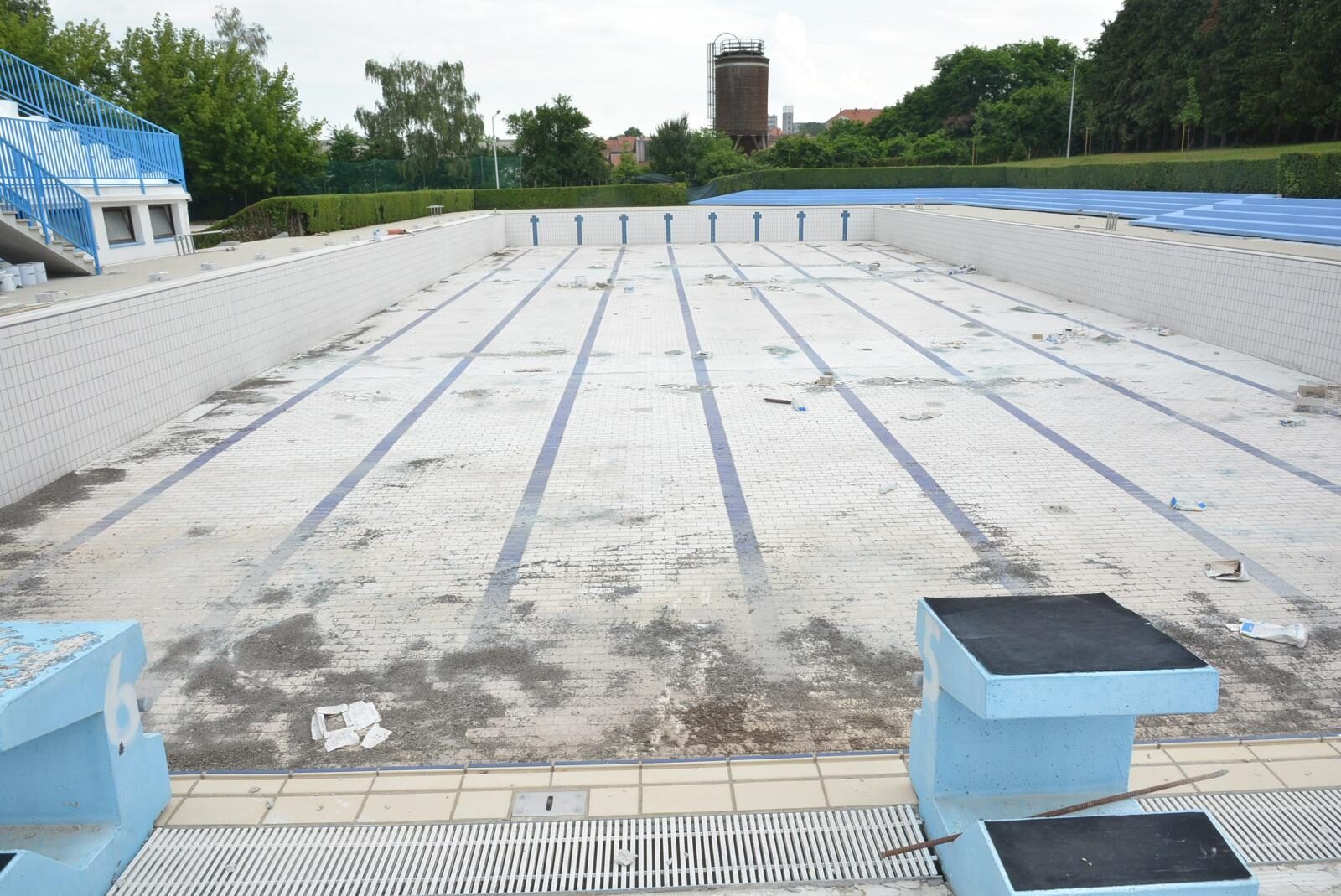 Foto: Damir Špehar / Pixsell