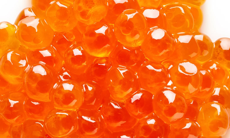 U prvoj fazi prerađivat će se riba, u drugoj proizvoditi kavijar/FOTOLIA