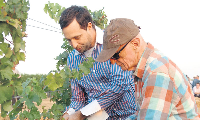 Foto: Borna Filić, Duško Mirković, Boris Šćitar/PIXSELL