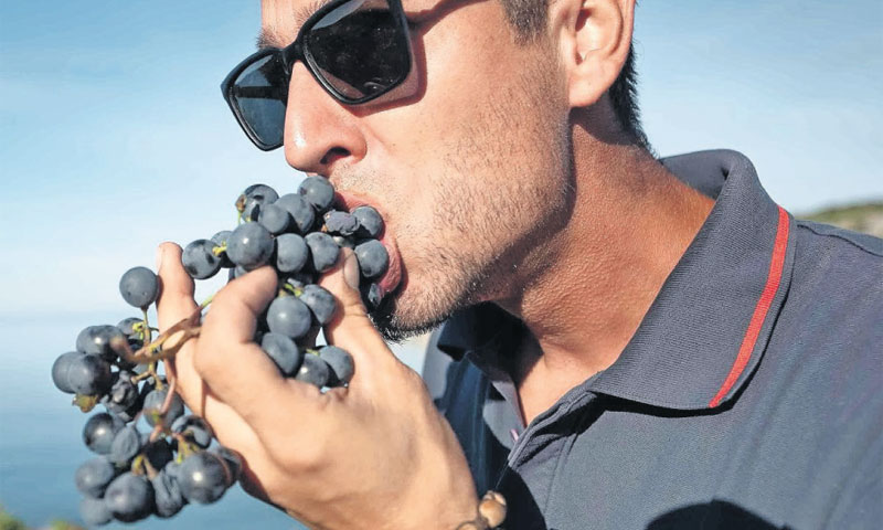 Video o babiću već je prvi tjedan bio pregledan više od 100.000 puta