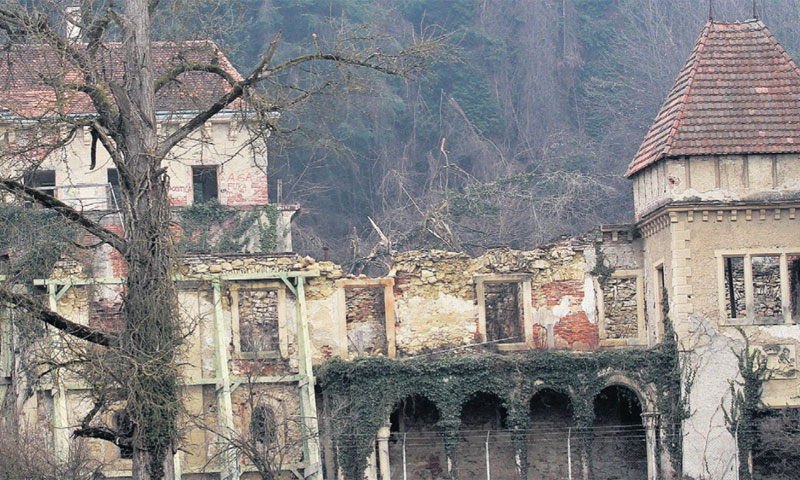 Arboretum se nalazi u općini Vinica, datira od 19. stoljeća i jedno je vrijeme je bio u vlasništvu g