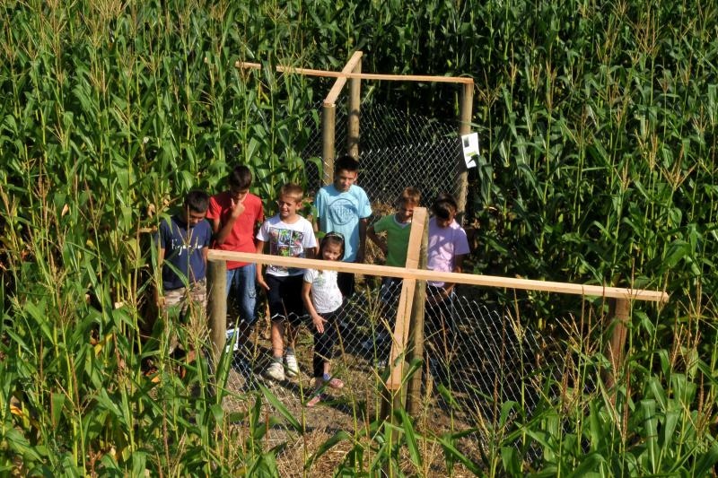 Foto: Ivica Galovic/PIXSELL