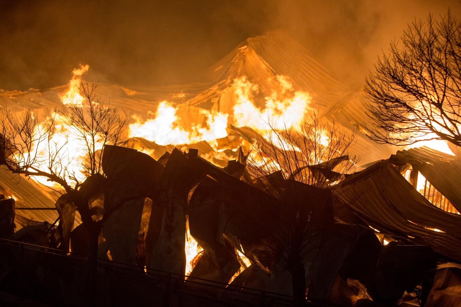 Foto: Nel Pavletic/PIXSELL