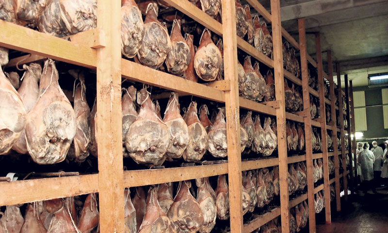 Mesna industrija u zoni Ravča priprema pogon kakvog, kažu, nema u svijetu/PD