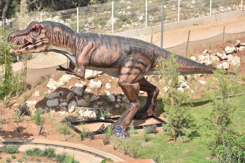 Foto: Dino Stanin/PIXSELL