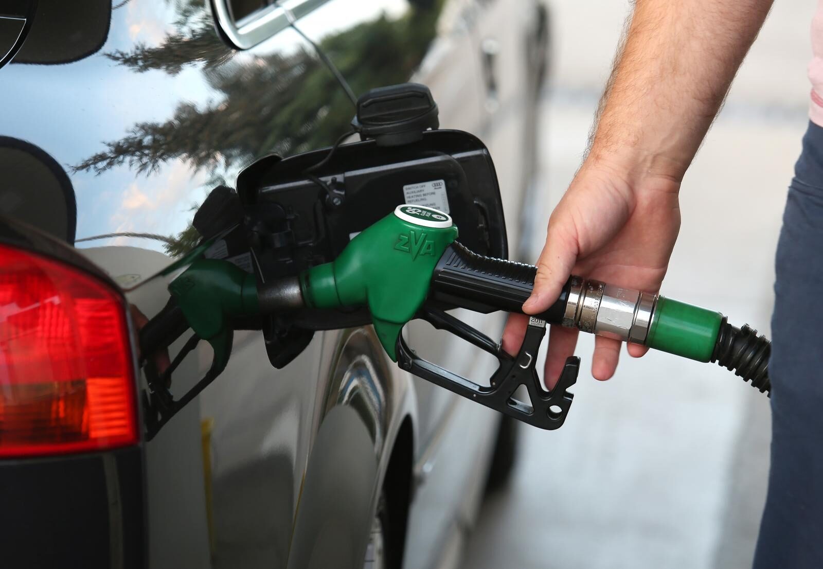 Foto: Duško Jaramaz / Pixsell