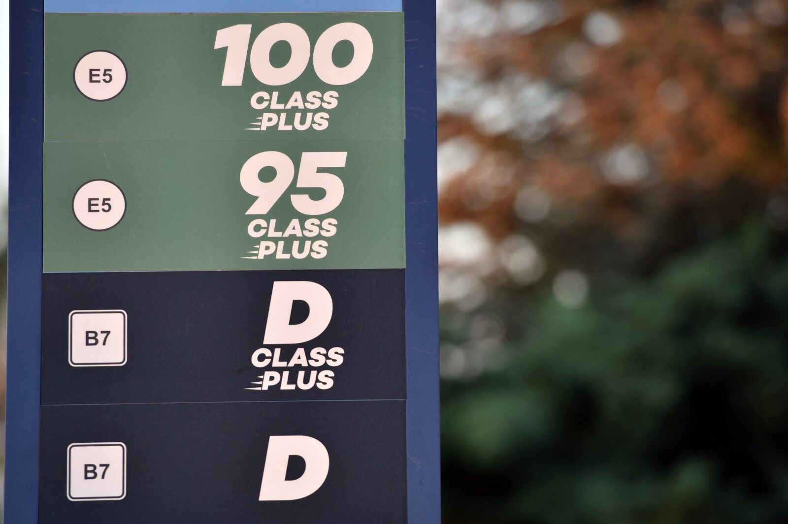 Foto: Hrvoje Jelavic/PIXSELL