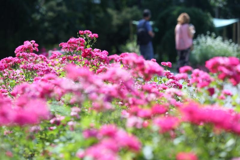 Foto: Sanjin Strukic/PIXSELL