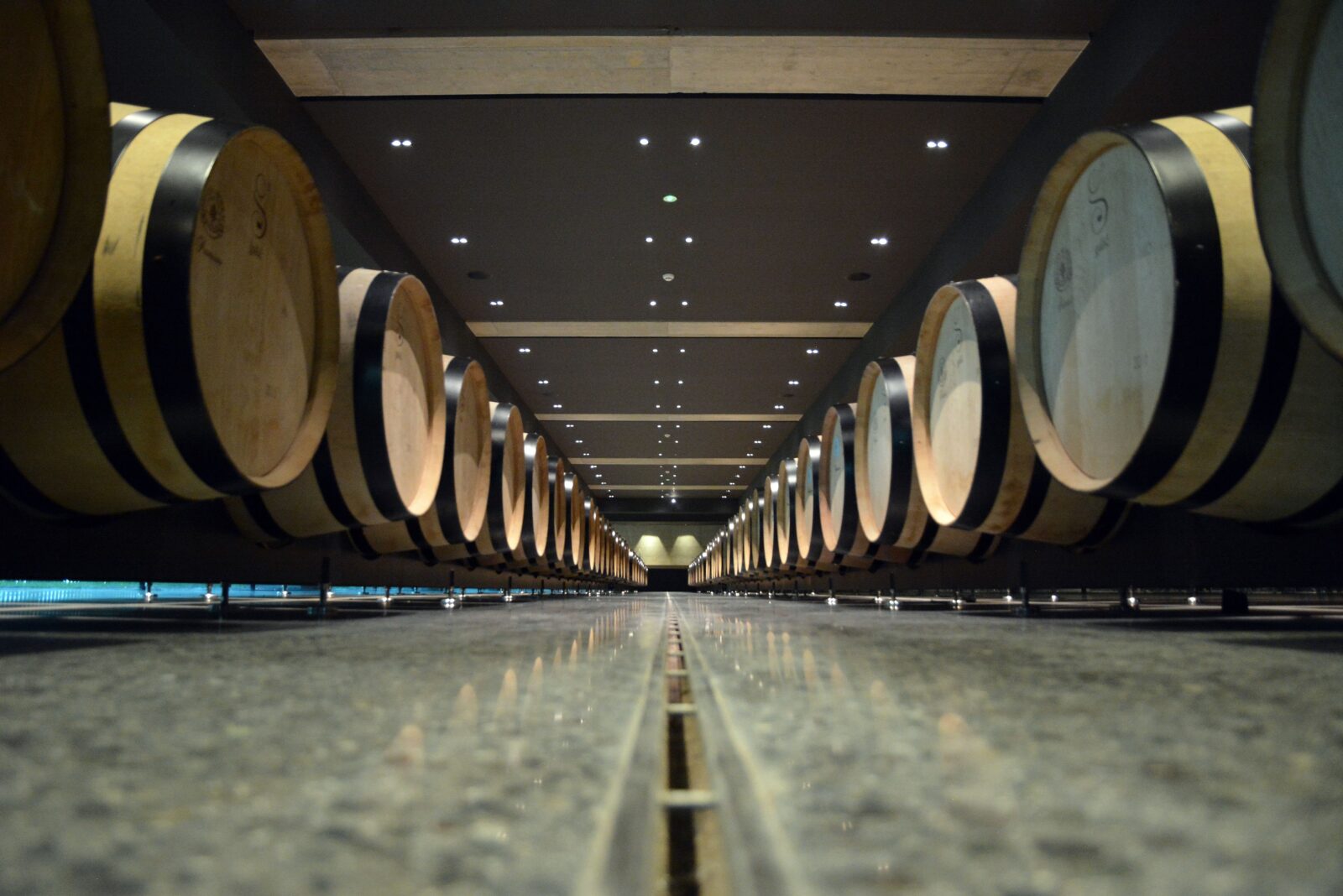 Foto: Ivica Galovic/PIXSELL