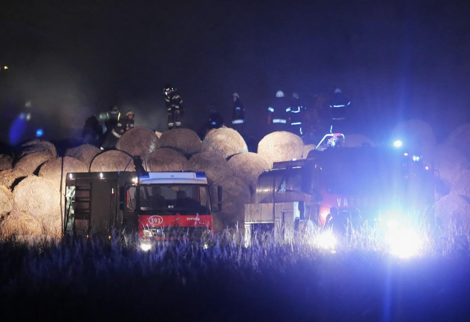 Foto: Tomislav Miletić / Pixsell