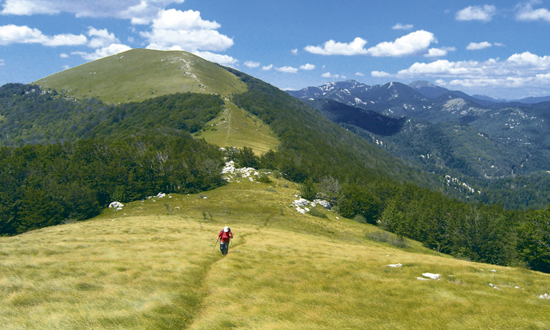 Foto: Privatni album