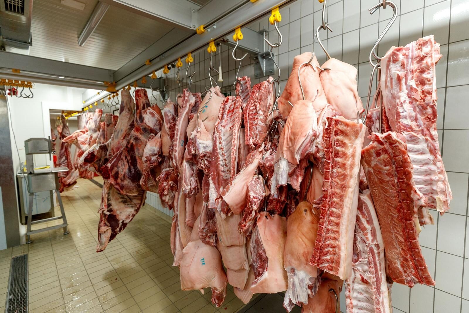 Foto: Igor Kralj / Pixsell