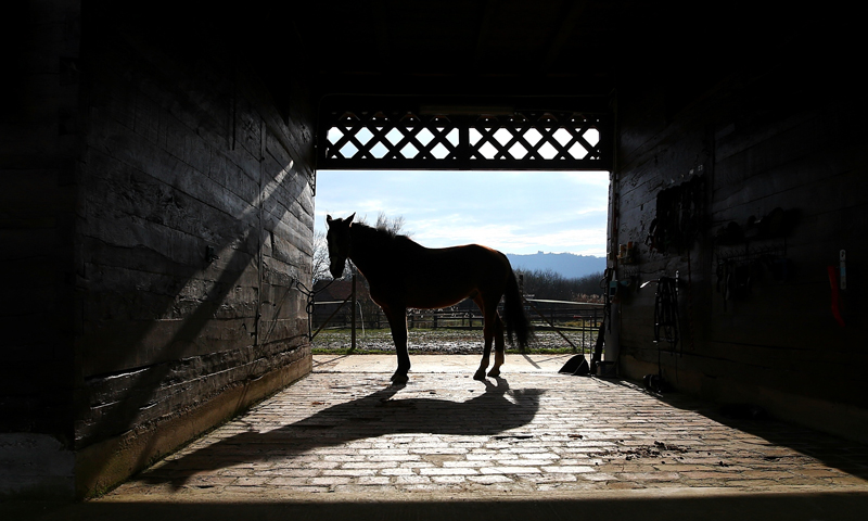 Foto: Željko Lukunić / Pixsell
