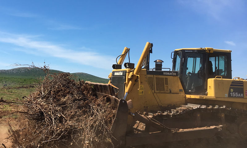 Zemljište u zadarskom zaleđu prije i u tijeku radova na izgradnji plantaže badema