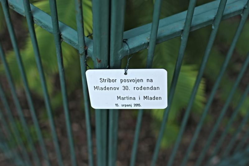 Foto: Sanjin Strukic/PIXSELL