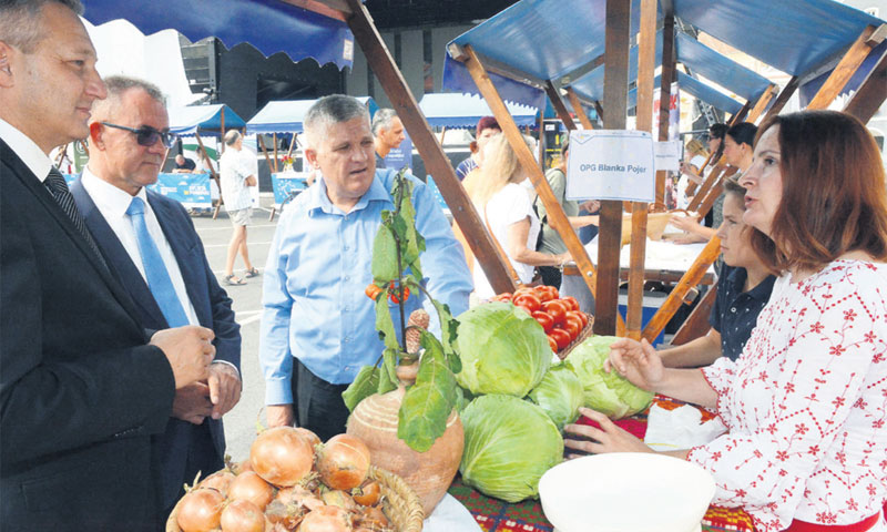 Blanka Pojer/Ivica Galović/PIXSELL