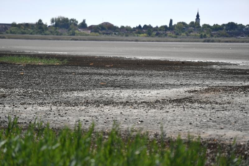 Foto: Srđan Ilić / Pixsell