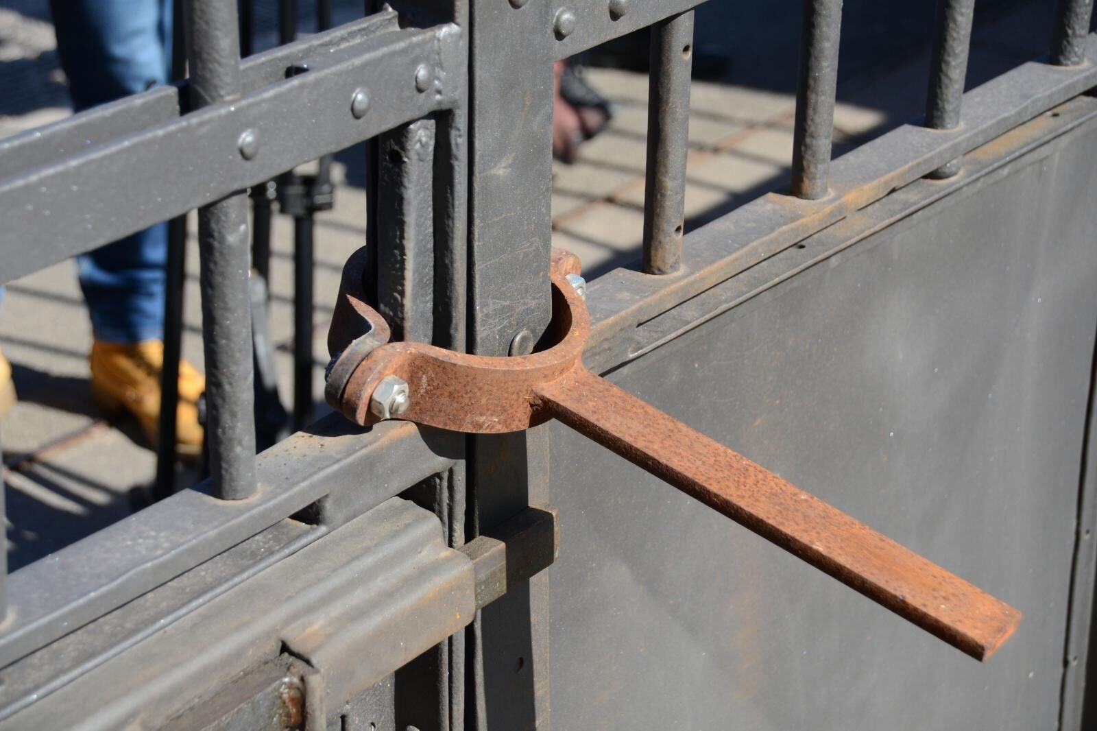 Foto: Duško Marušić / Pixsell