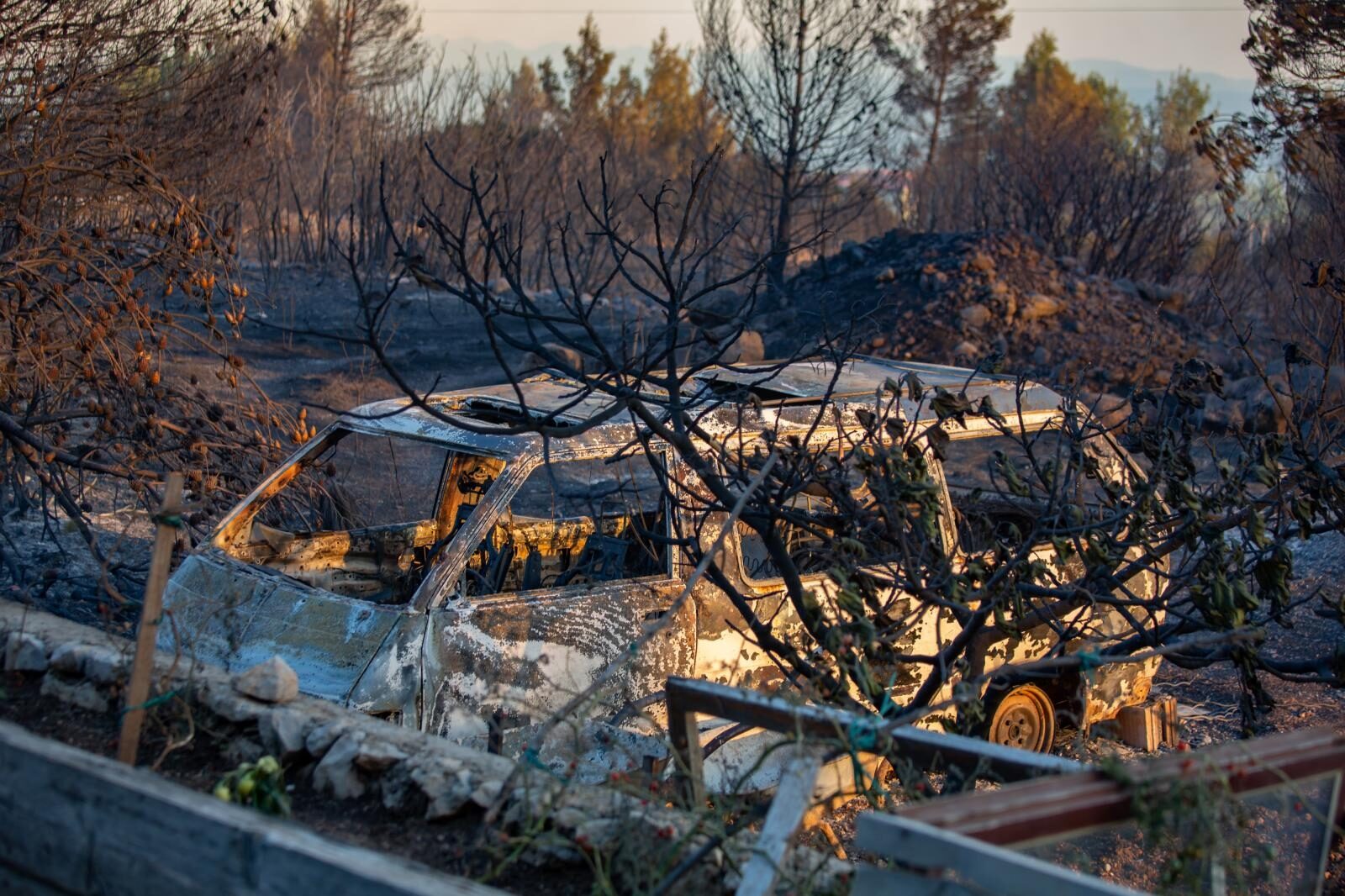 Foto: Grgo Jelavić / Pixsell