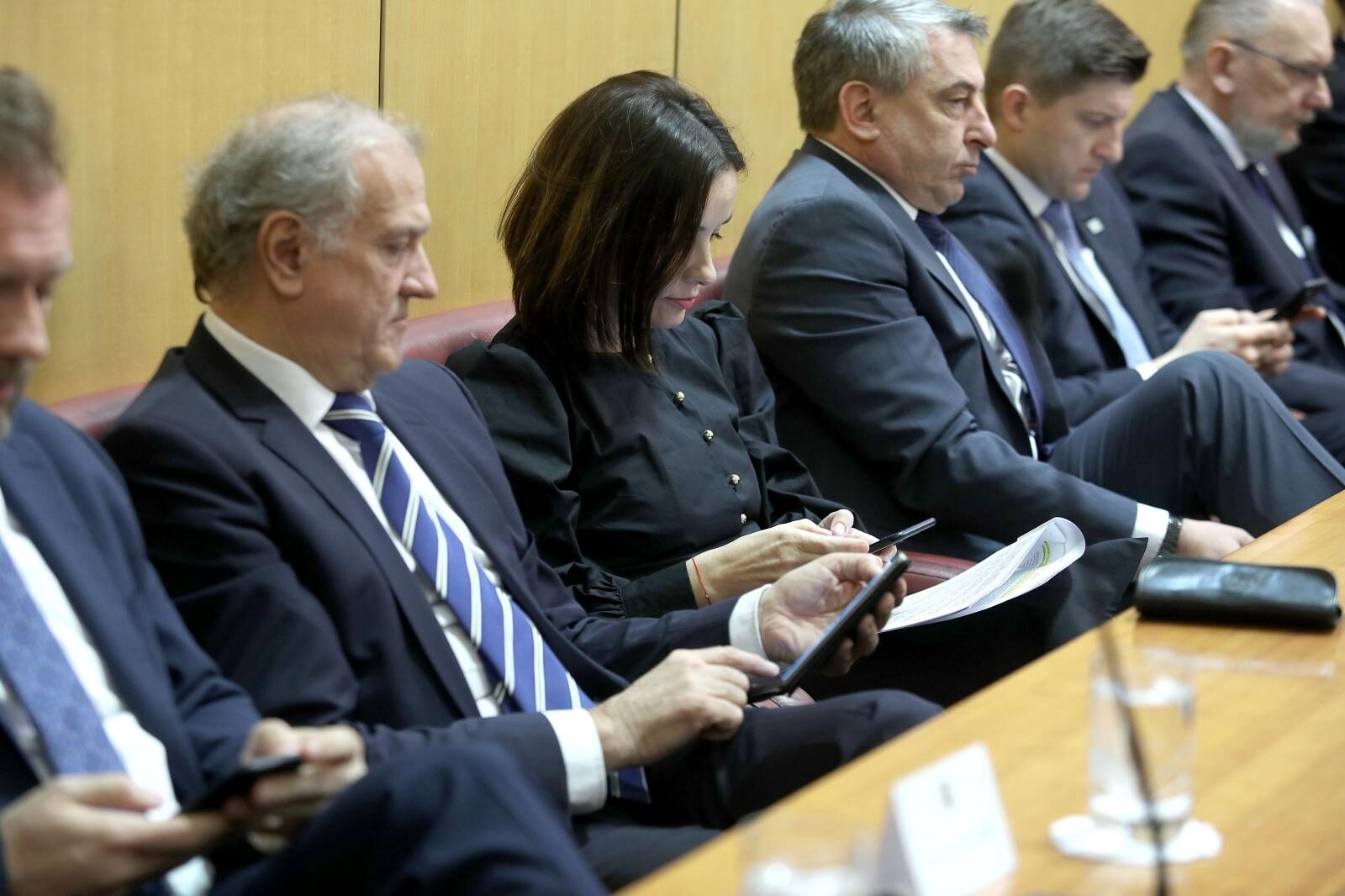 Foto: Patrik Macek/PIXSELL