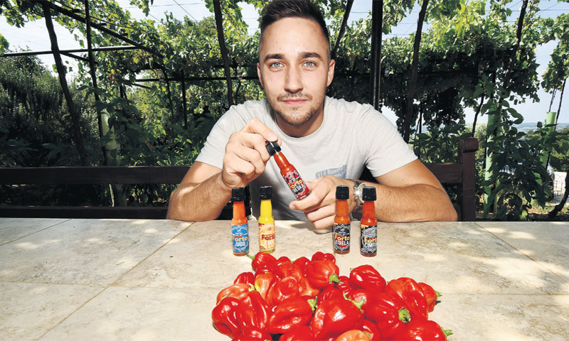 Mladi poljoprivrednik na posjedu u Koromačnom gdje vodi obiteljski biznis/Duško Marušić/PIXSELL