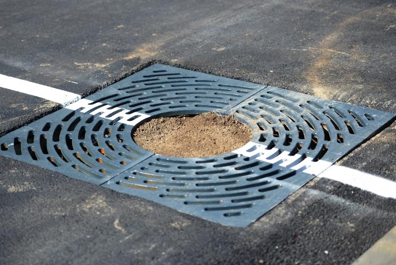 Foto: Marko Prpić / Pixsell