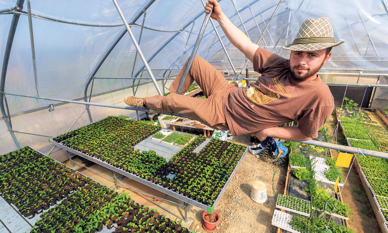 U plasteniku na OPG-u u Igrišću nedaleko od Zagreba uzgajaju 30-ak sorti ljutih papričica