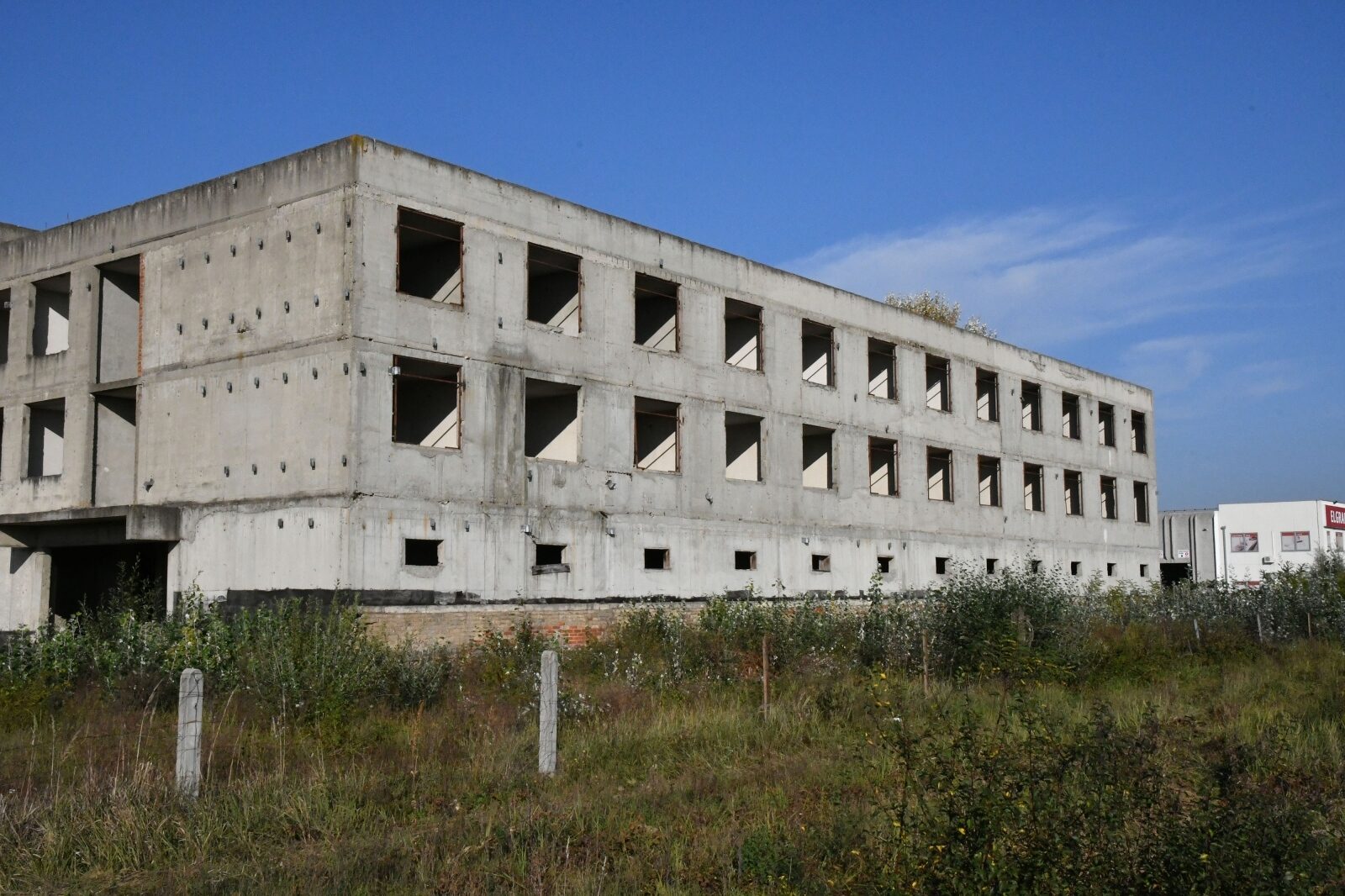 Foto: Ivica Galovic/PIXSELL