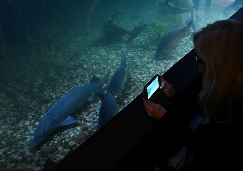 Foto: Davor Visnjic/PIXSELL