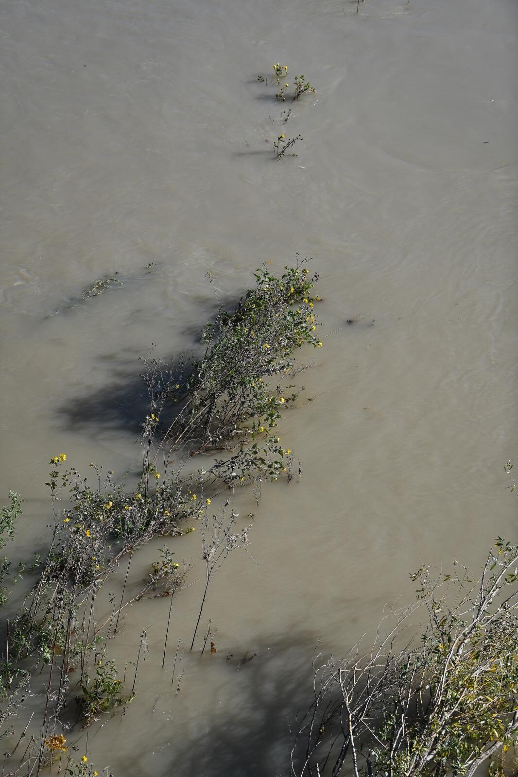 Foto: Sandra Simunovic/PIXSELL