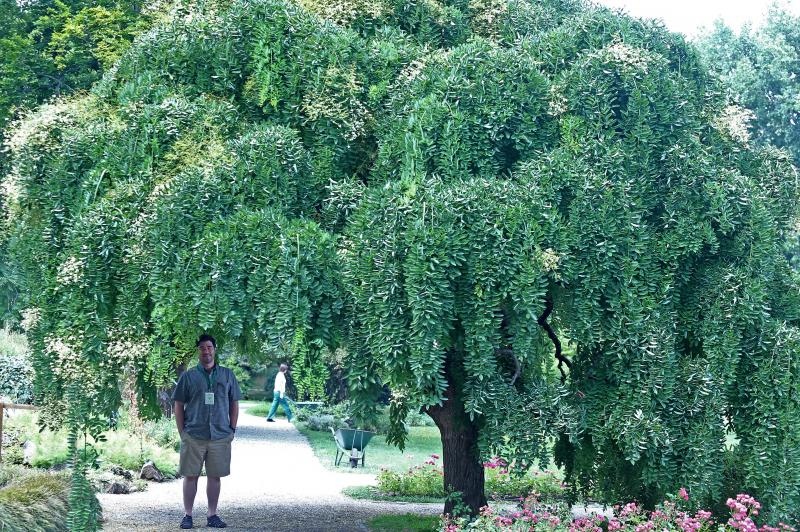 Foto: Sanjin Strukic/PIXSELL