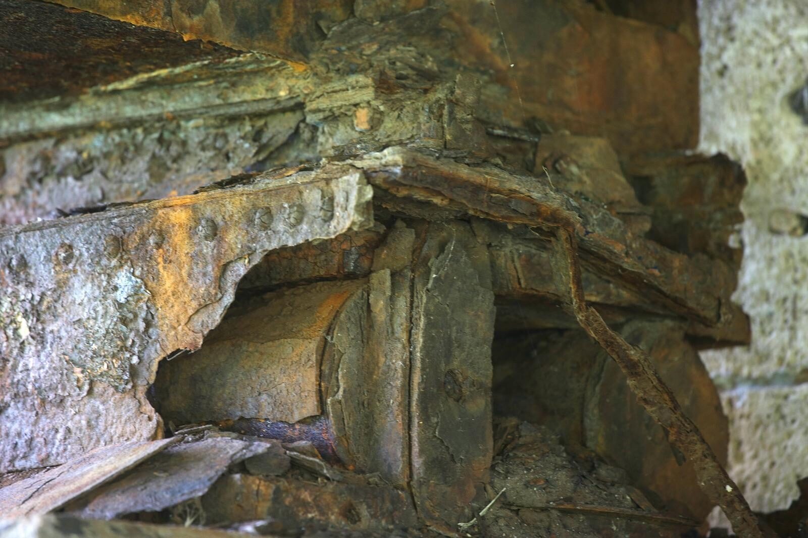 Foto: Žarko Bašić / Pixsell