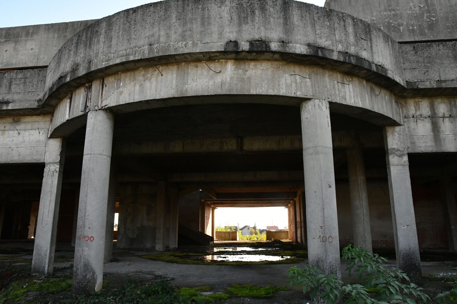 Foto: Ivica Galovic/PIXSELL