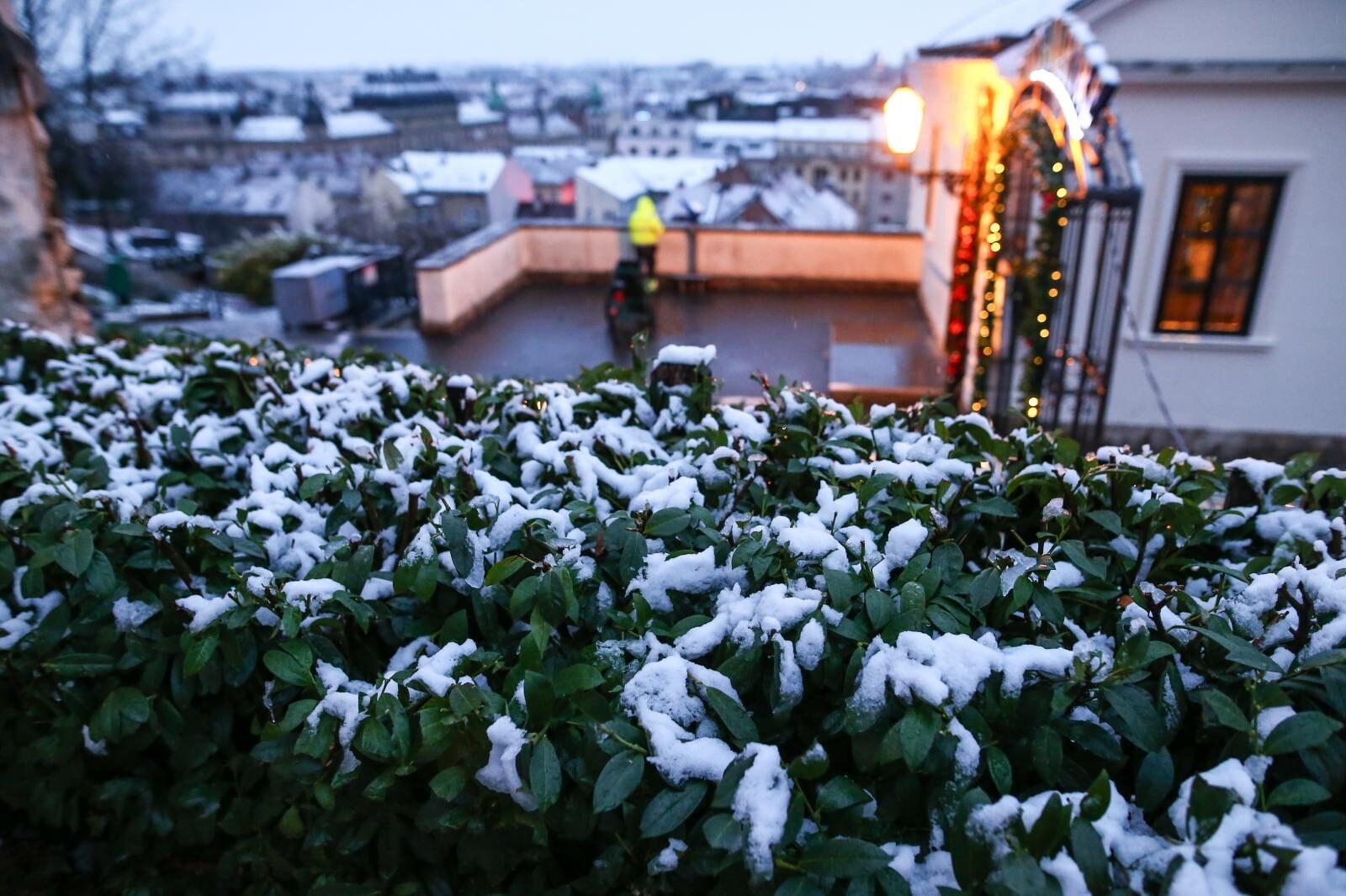 Foto: Igor Šoban / Pixsell