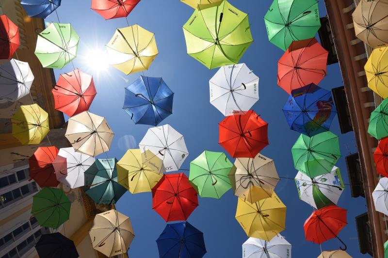 Foto: Vjeran Žganec Rogulja / Pixsell