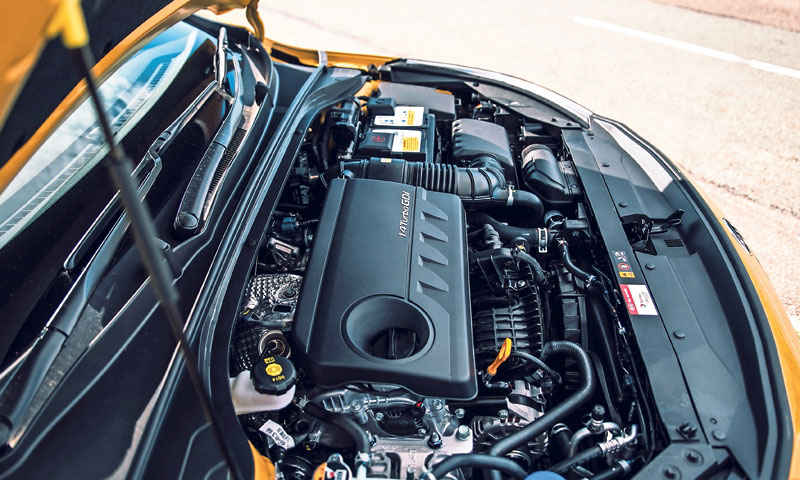 Foto: SLAVKO MIDŽOR/PIXSELL