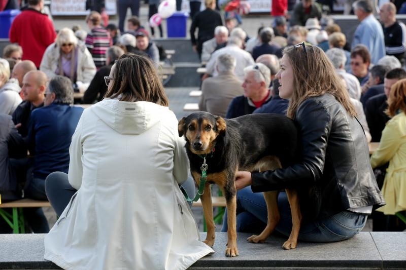 Foto: Zarko Basic/PIXSELL