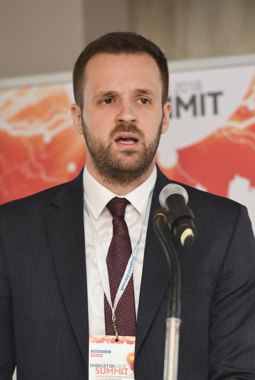 Foto: Davor Višnjić / Pixsell