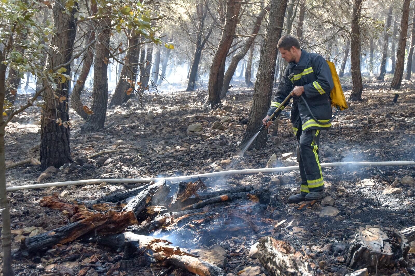 Foto: Dino Stanin/PIXSELL