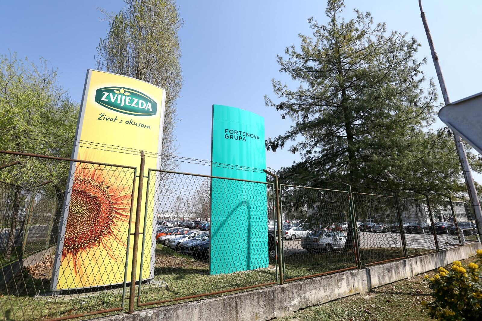 Foto: Borna Filic/PIXSELL