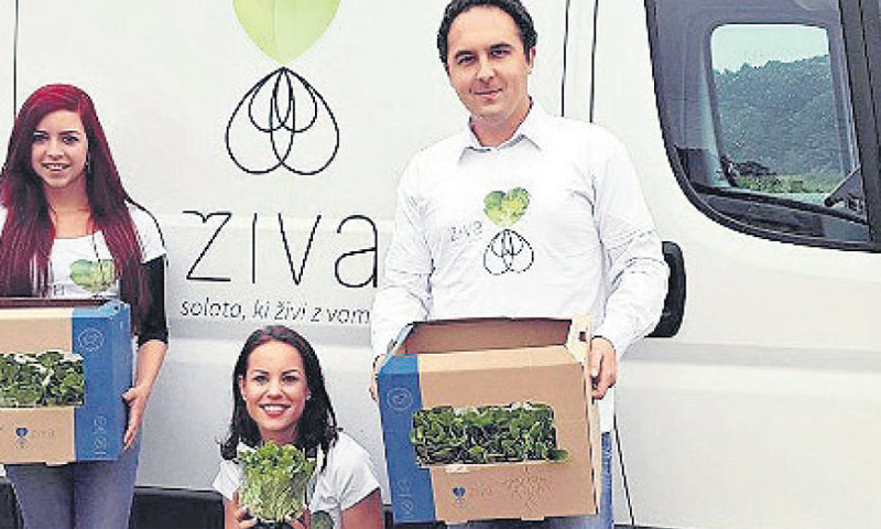 Svakog dana proizvodi Panorganica razvoze se u trgovine