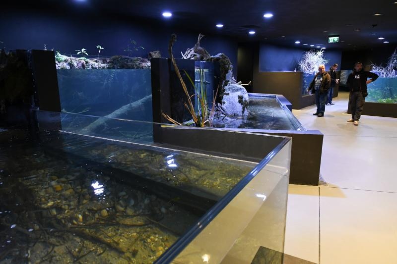 Foto: Davor Visnjic/PIXSELL