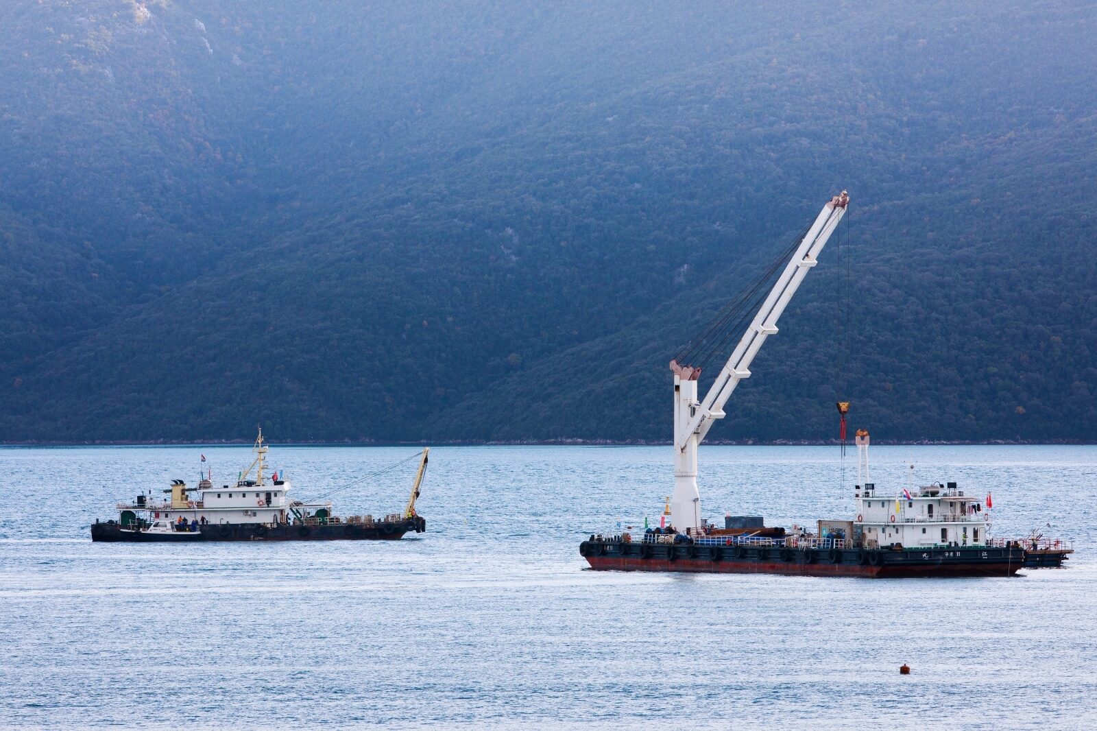 Foto: Milan Sabic/PIXSELL