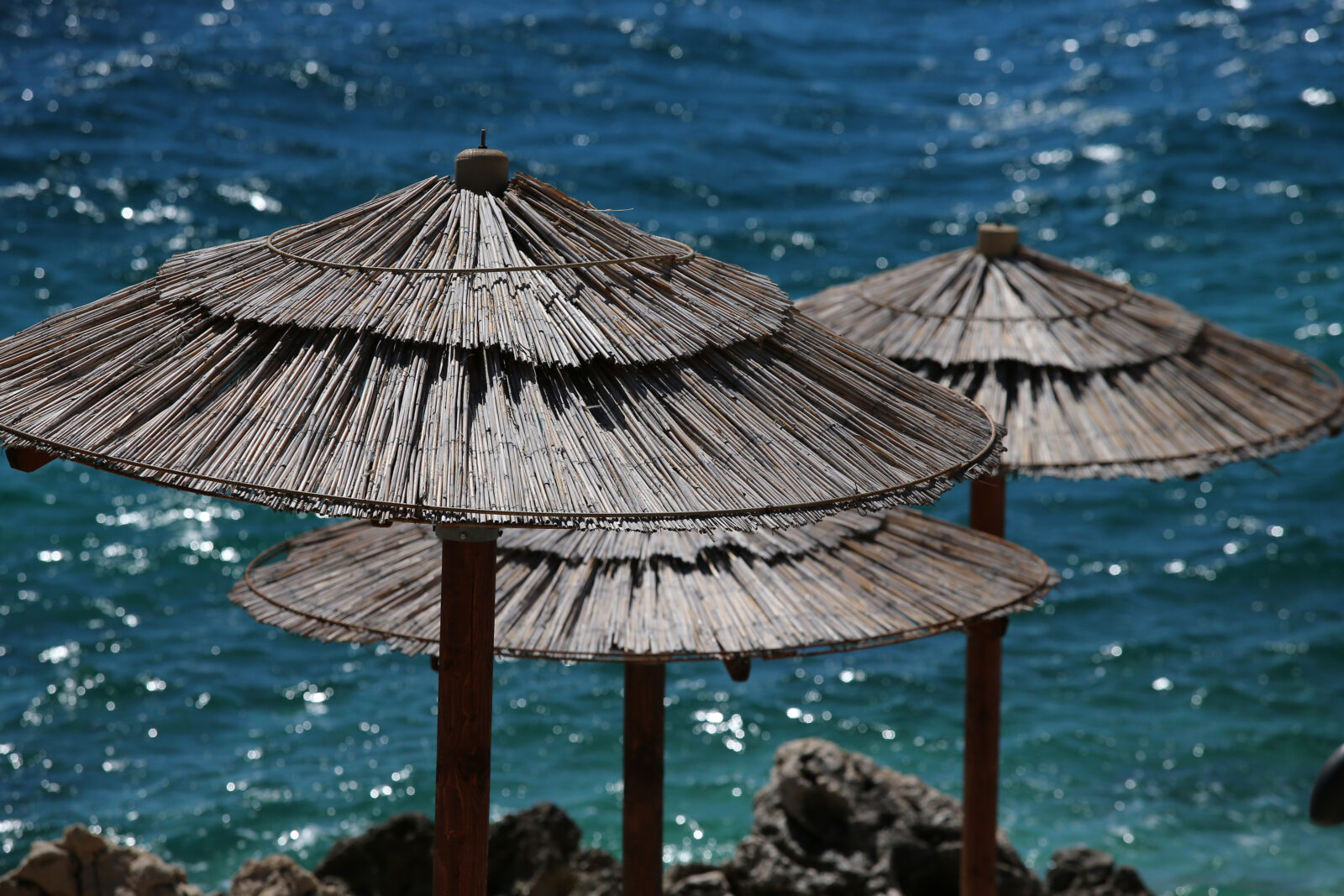 FOTO: Jurica Galoić