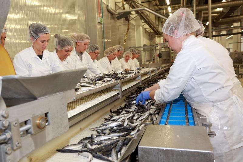 Foto: Miranda Cikotić / Pixsell