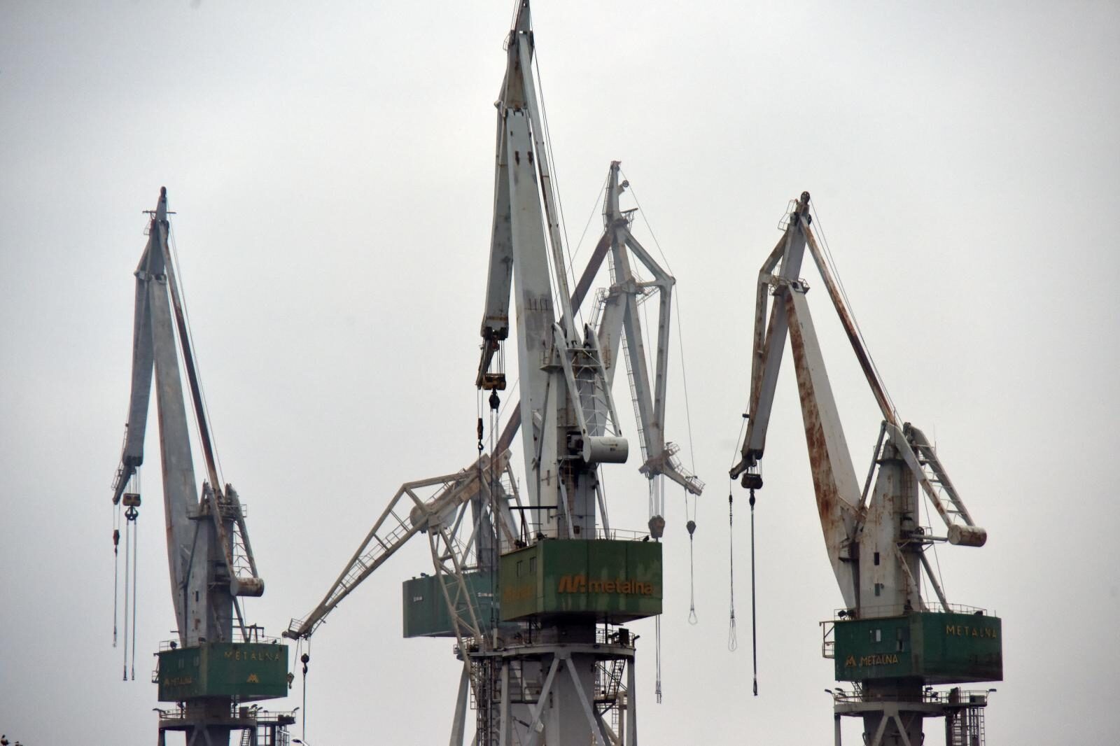 Foto: Dusko Marusic/PIXSELL