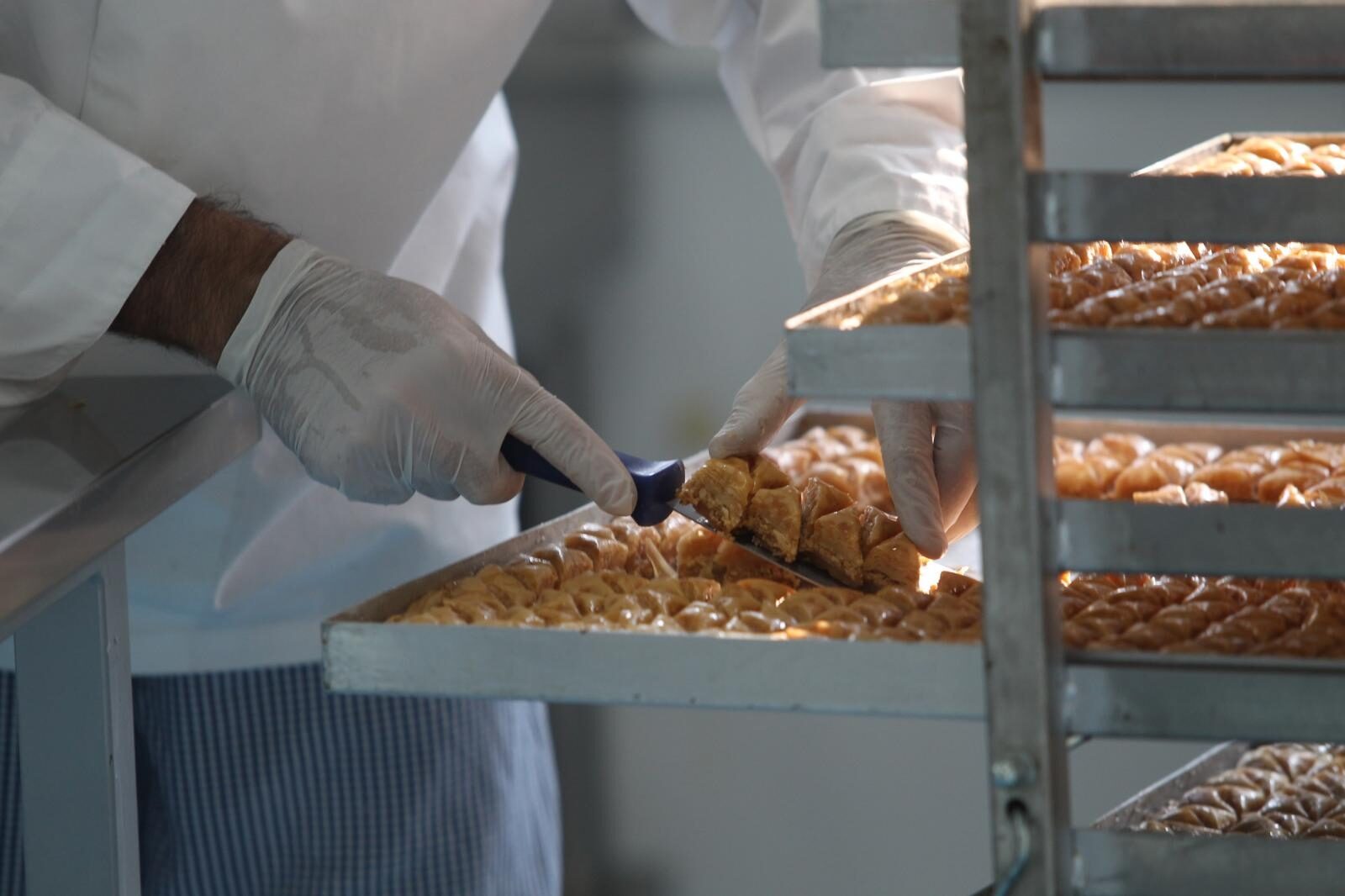 Foto: Boris Ščitar / Pixsell