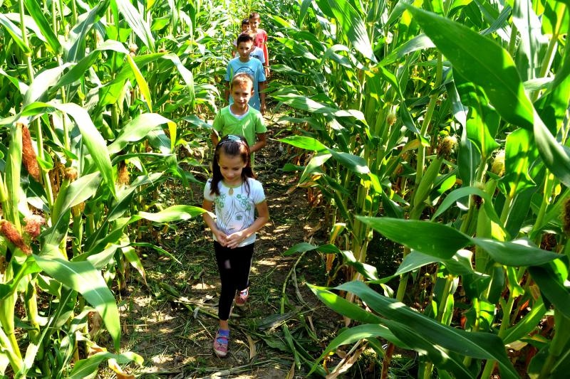 Foto: Ivica Galovic/PIXSELL